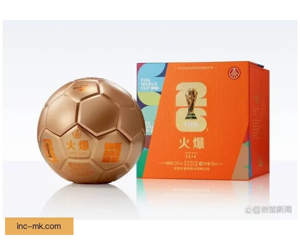 2026世界杯官方指定供应商提供全套球场安检系统保障赛事安全运行